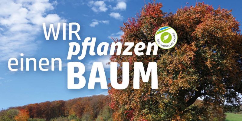 Wir pflanzen einen Baum - herbstlicher Baum an Feldweg